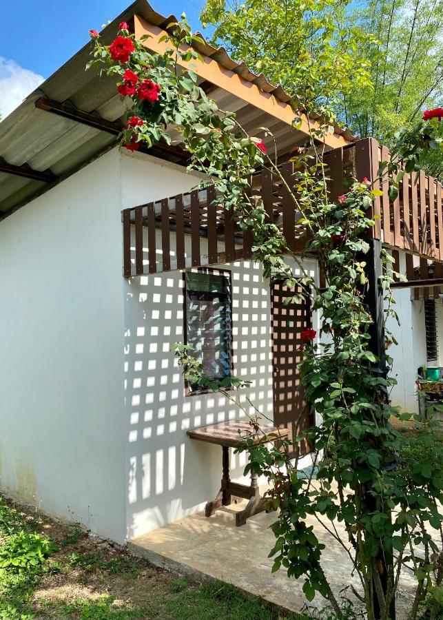 Tribal Pai (Adults Only) Hostel Exterior photo
