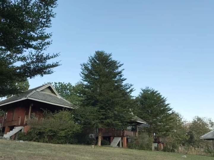 Tribal Pai (Adults Only) Hostel Exterior photo